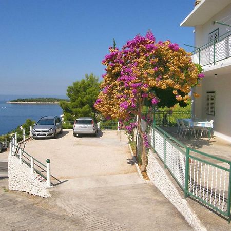 Apartments Dijo Primošten Dış mekan fotoğraf