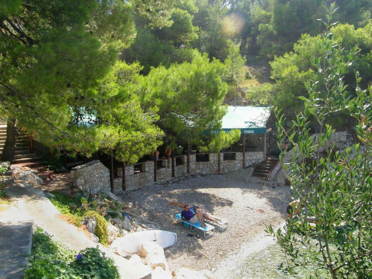 Apartments Dijo Primošten Dış mekan fotoğraf